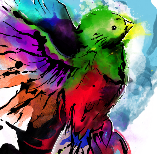 596x583 Watercolor Quetzal On Pantone Canvas Gallery - Quetzal Watercolor