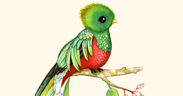 640x336 Joojoo Q Is For Quetzal . Another Animal For French Abc Poster - Quetzal Watercolor
