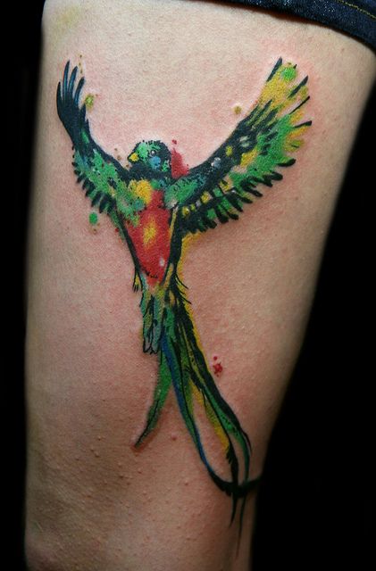 421x640 Quetzal Watercolor Tattoo My Quetzal Bird Tattoo - Quetzal Watercolor