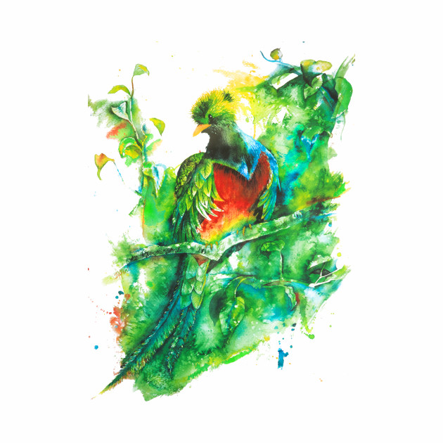 630x630 Quetzal - Quetzal Watercolor