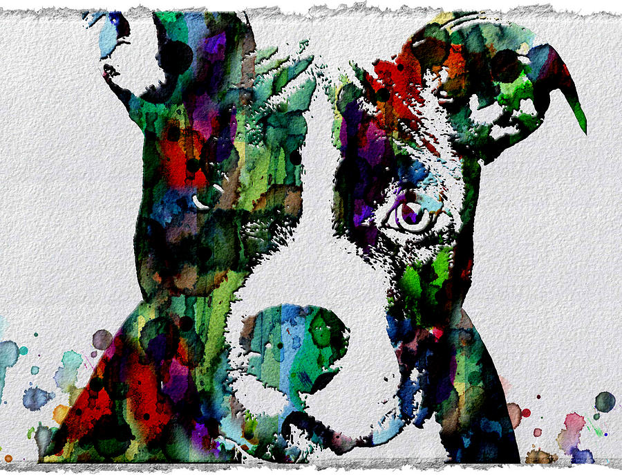 900x687 Watercolor Dog Art Prints And Posters Painting By Robert R Splashy - R Watercolor