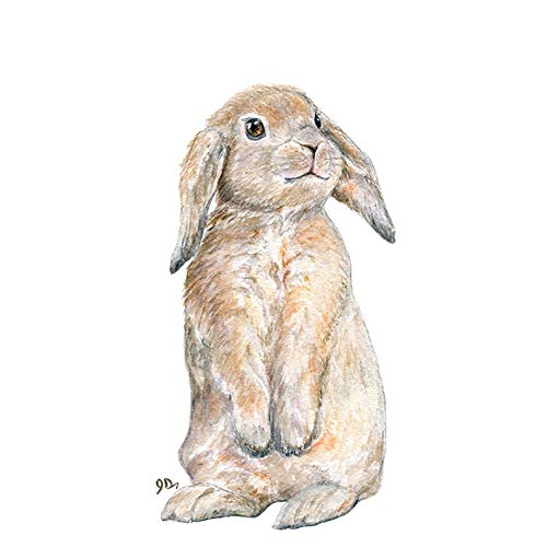 Peter Rabbit Watercolor at PaintingValley.com | Explore collection of ...