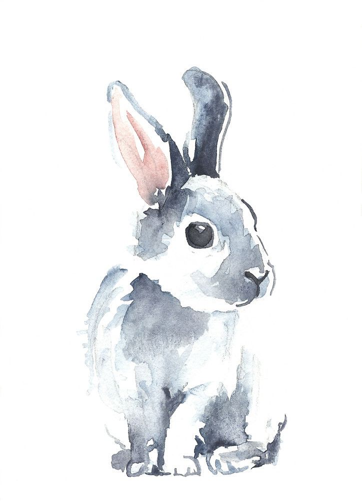 724x1000 Moon Rabbit Ii By Denise Faulkner Inspiration - Rabbit Watercolor