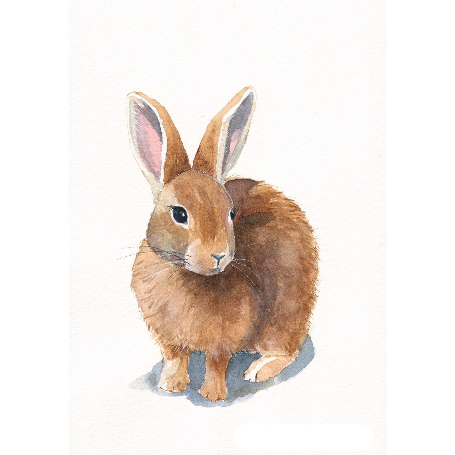 1500x1500 Rabbit Painting Beautiful Rabbit Painting Archival Print Of - Rabbit Watercolor