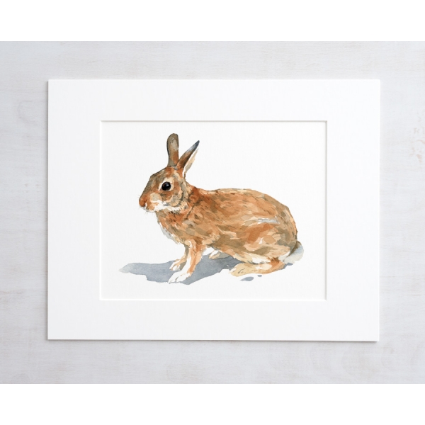600x600 Rabbit Watercolor Print David Scheirer Watercolors - Rabbit Watercolor