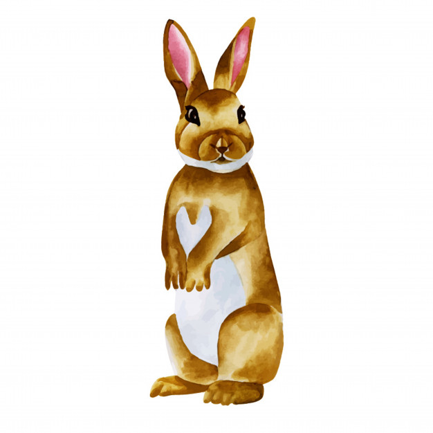 626x626 Watercolor Cute Rabbit Vector Free Download - Rabbit Watercolor