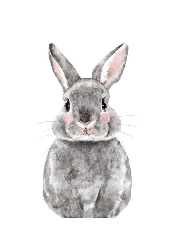 600x800 Ilustraciones - Rabbit Watercolor