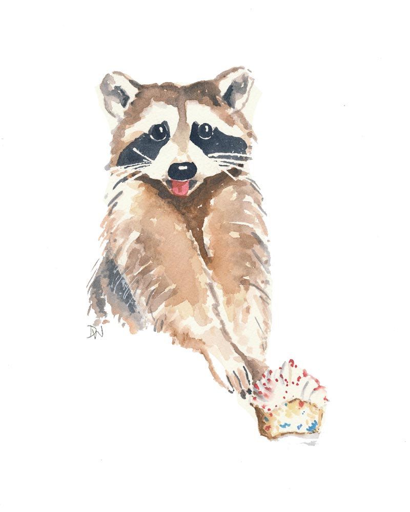 800x1000 Original Raccoon Watercolor Painting - Raccoon Watercolor