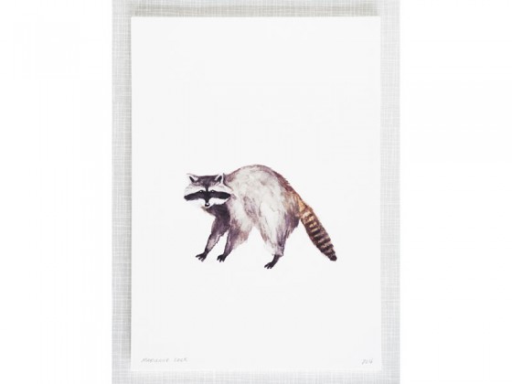 560x420 Raccoon Watercolor Print By Mary Amp The Locks - Raccoon Watercolor