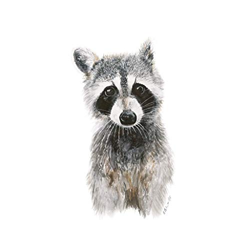 500x500 Baby Raccoon Watercolor Nursery Decor Available In - Raccoon Watercolor