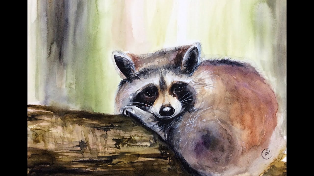 1280x720 Watercolor Raccoon Painting Demonstration - Raccoon Watercolor