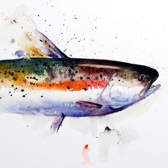 570x570 Rainbow Trout Original Watercolor Painting By Dean Crouser Art - Rainbow Trout Watercolor