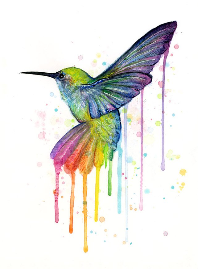 642x870 Hummingbird Art Print Rainbow Watercolor Animal Painting Etsy - Rainbow Watercolor