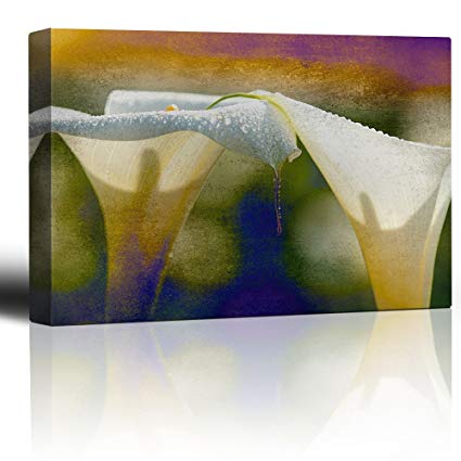 425x425 Wall26 Cala Lilies On A Rainbow Watercolor Paint - Rainbow Watercolor Background