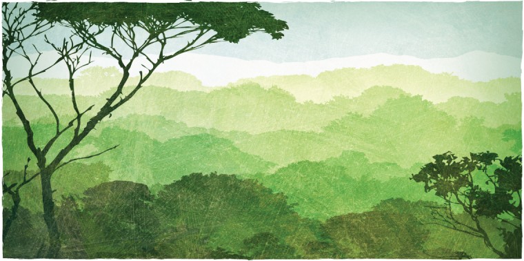 760x378 Opinion Together, We Save Forests Ensia - Rainforest Watercolor