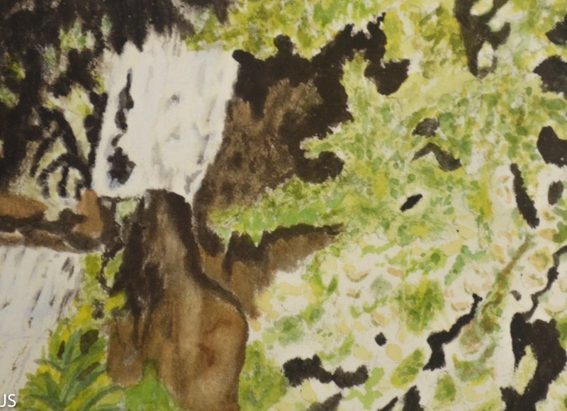 800x580 Rainforest Art Watercolor Painting W Writing - Rainforest Watercolor