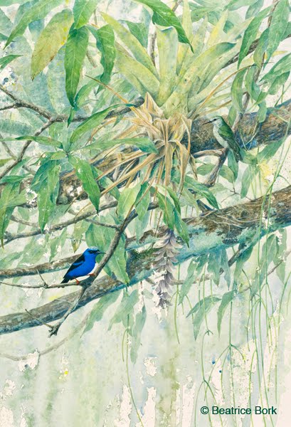 409x600 Rainforest Rendezvous Is A New Watercolor Paint - Rainforest Watercolor