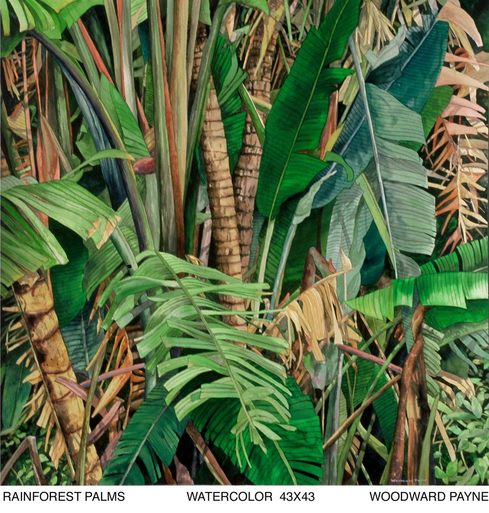 1000x1049 Tropicals Woodward Payne - Rainforest Watercolor