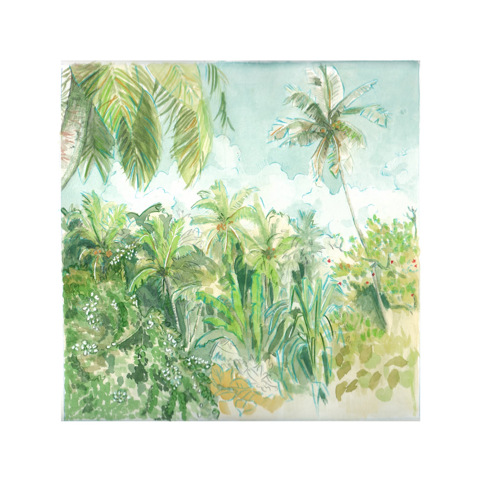 1600x1600 Watercolor Scribbleberry Sara Beermann - Rainforest Watercolor