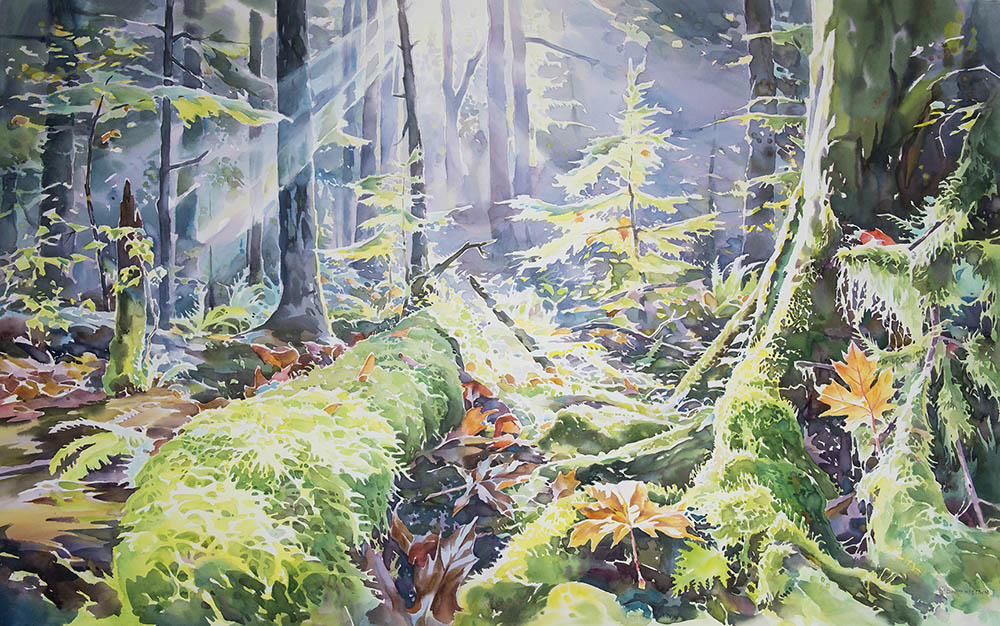 1000x626 Forest David Mceown Artist Journeys - Rainforest Watercolor