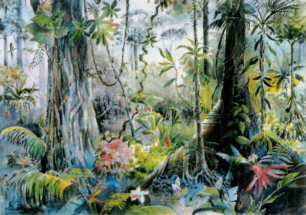 599x421 Kingwell Island Art - Rainforest Watercolor