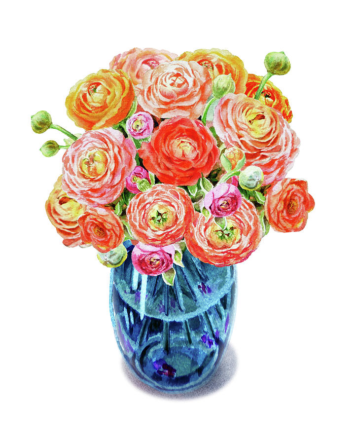 720x900 Ranunculus Bouquet Blue Vase Watercolor Painting By Irina Sztukowski - Ranunculus Watercolor