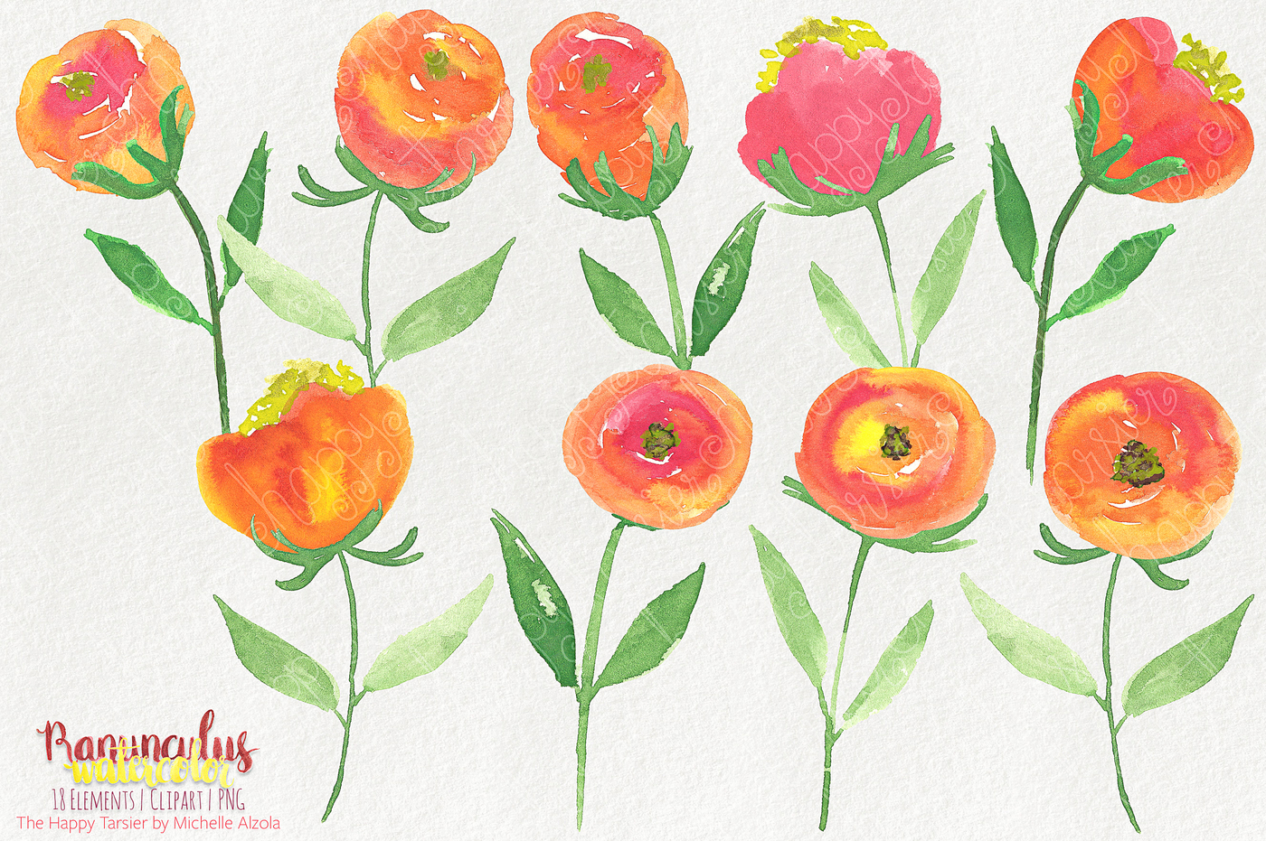 1400x931 Ranunculus Watercolor Flowers Clipart - Ranunculus Watercolor
