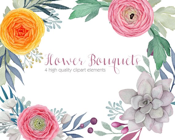 570x456 Ranunculus Watercolor Clipart Flower Clip Arts Succulent - Ranunculus Watercolor