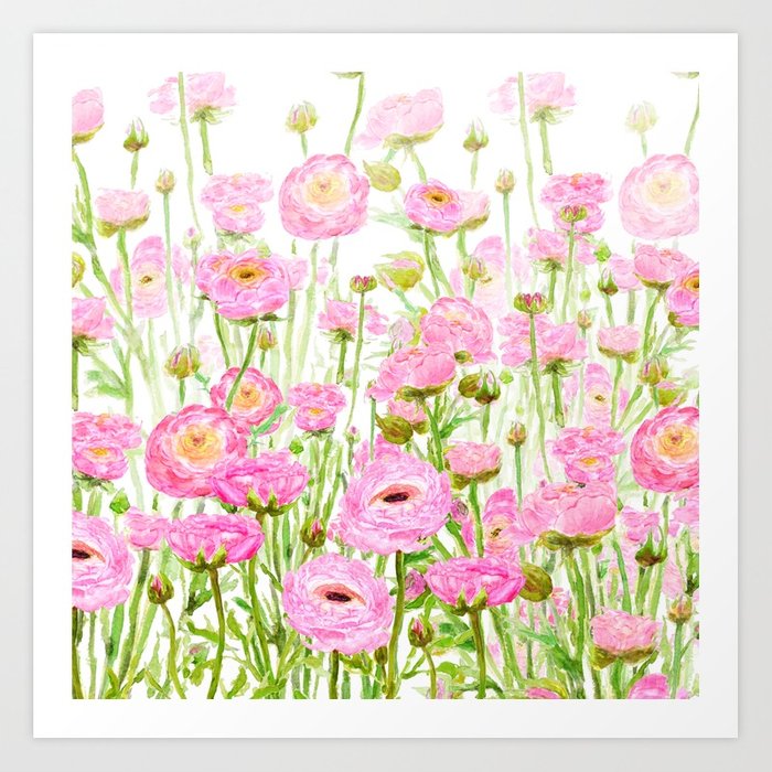 700x700 Pink Buttercup Ranunculus Field Watercolor Art Print By - Ranunculus Watercolor