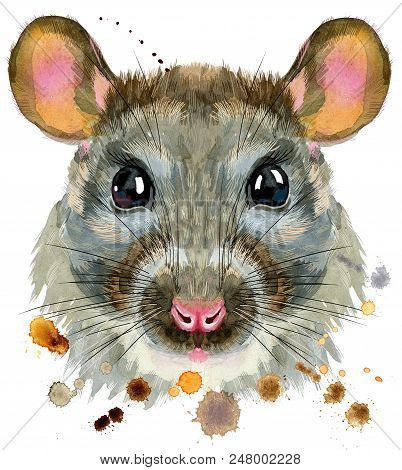 402x470 Cute Rat For T Shirt Graphics. Watercolor Rat Illustration Photo Stock - Rat Watercolor