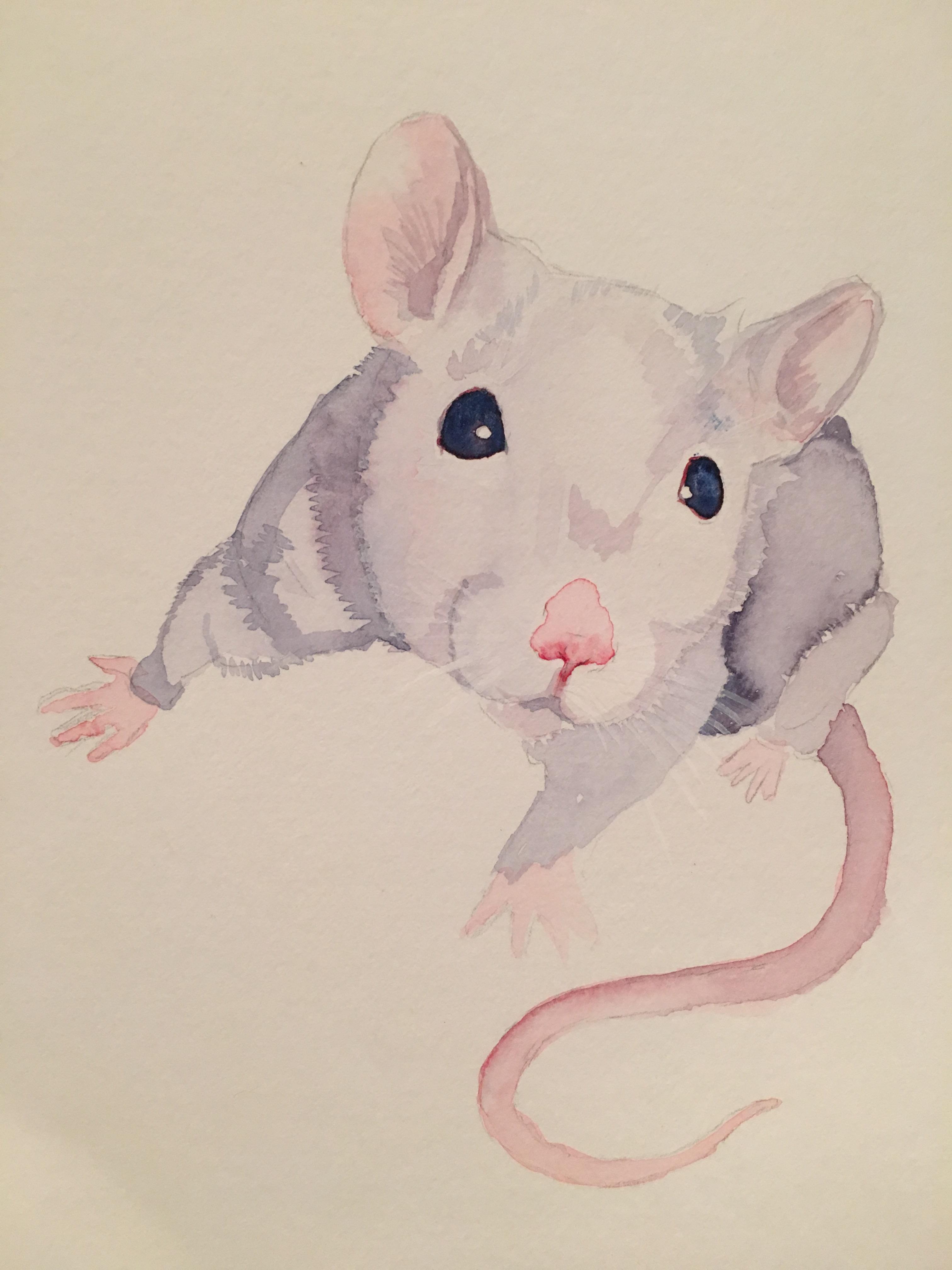 3024x4032 Little Ratty Guy, Watercolor, 8x10 Art - Rat Watercolor