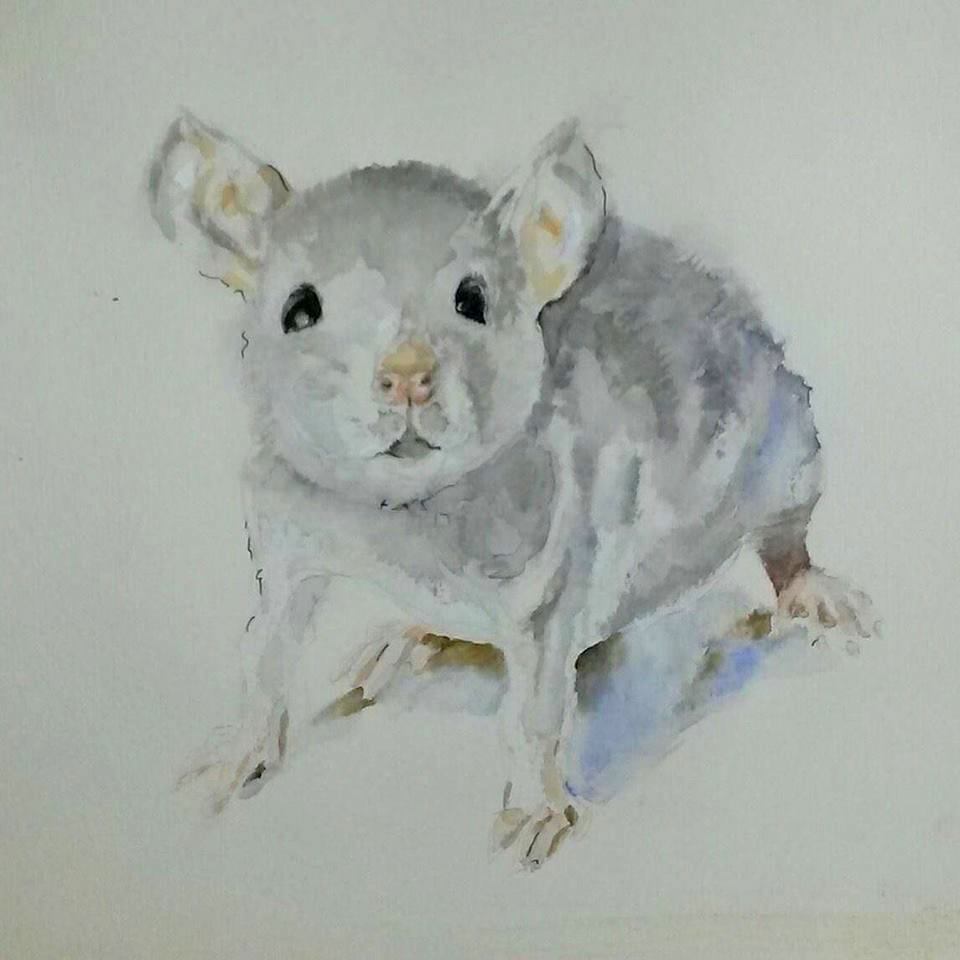 960x960 Watercolor And Oil Paintings By The Artist Jurga Ryan, Lithuania - Rat Watercolor