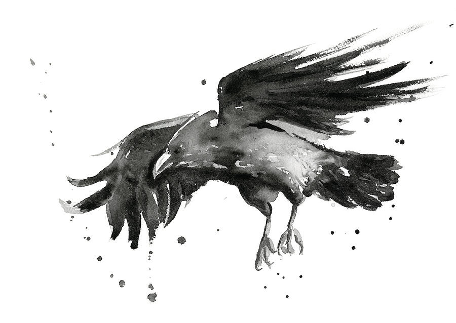 900x638 Flying Raven Watercolor Painting By Olga Shvartsur - Raven Watercolor