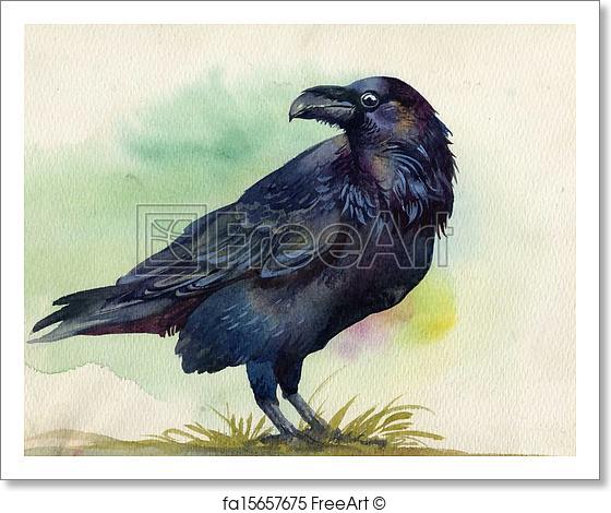 560x470 Free Art Print Of Black Raven Watercolor Painting Freeart - Raven Watercolor