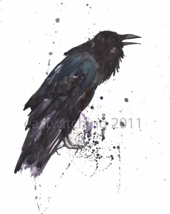 570x714 Raven Watercolor Print, Raven Lover Gift, 8x10 Print In 2018 - Raven Watercolor
