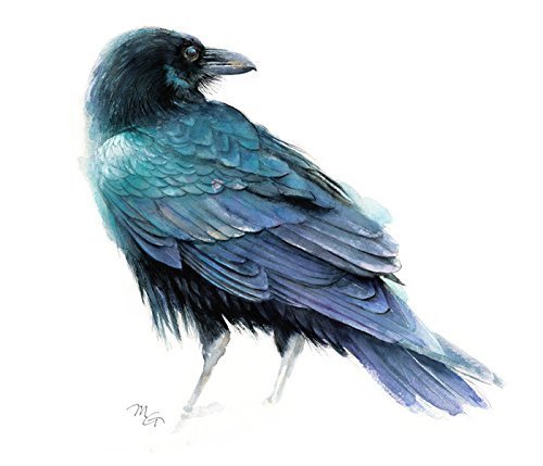 500x429 Raven Watercolor Giclee Print Handmade - Raven Watercolor