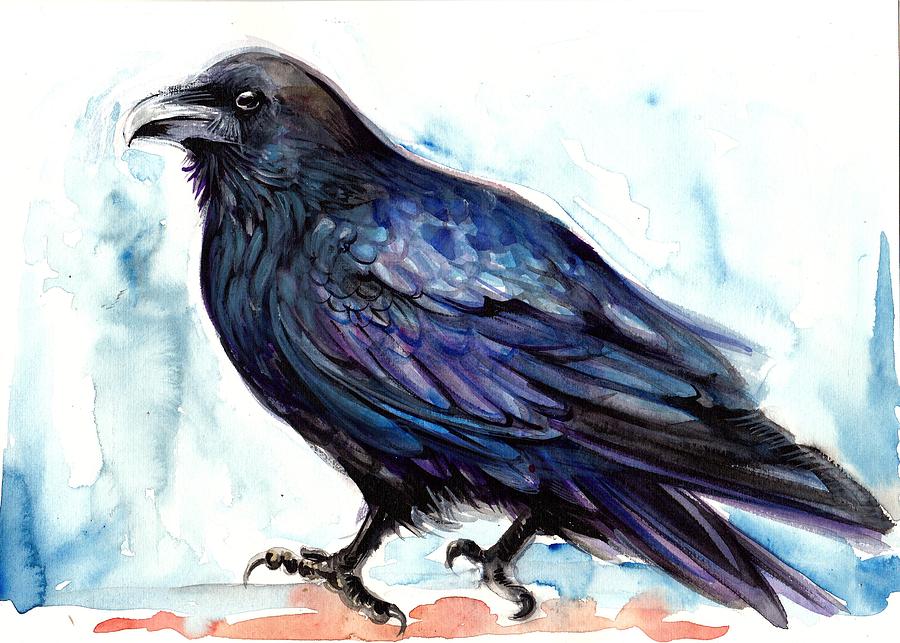 900x643 Raven Resting - Raven Watercolor