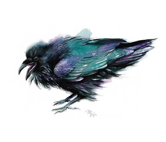 700x600 Raven Watercolor Archival Print Mira Guerquin Watercolors - Raven Watercolor