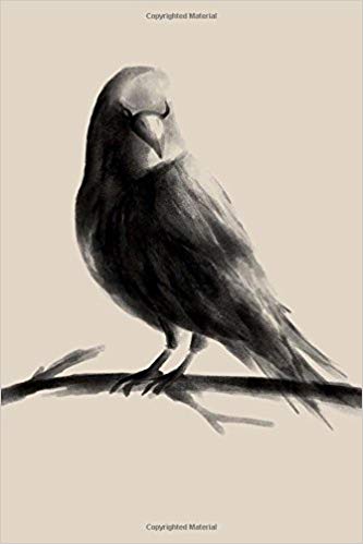 333x499 Raven Watercolor Art Journal 150 - Raven Watercolor