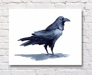 300x245 Raven Watercolor Painting Raven Art Print By Artist Djr Ebay - Raven Watercolor