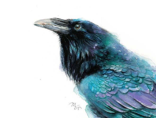660x500 Raven Watercolor Blue Purple Black Teal Bird Archival Print Mira - Raven Watercolor