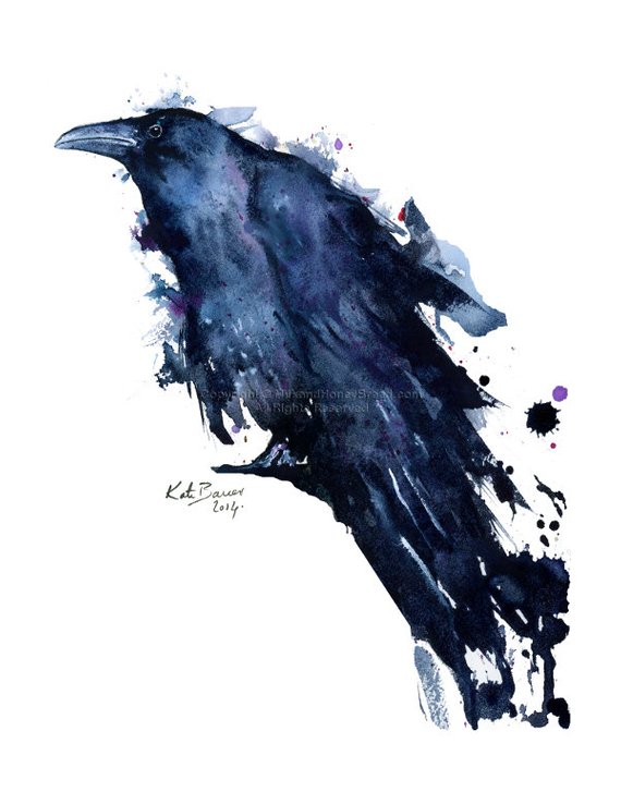 570x738 Watercolor Bird Art Raven Watercolor Raven Print Etsy - Raven Watercolor