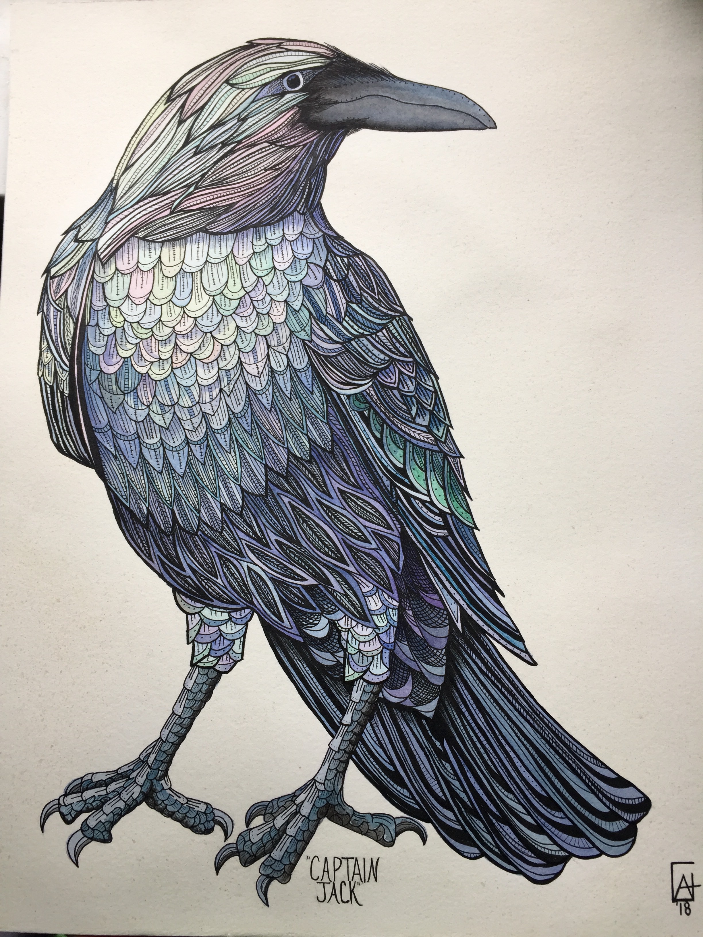 2448x3264 Watercolor And Ink Raven - Raven Watercolor