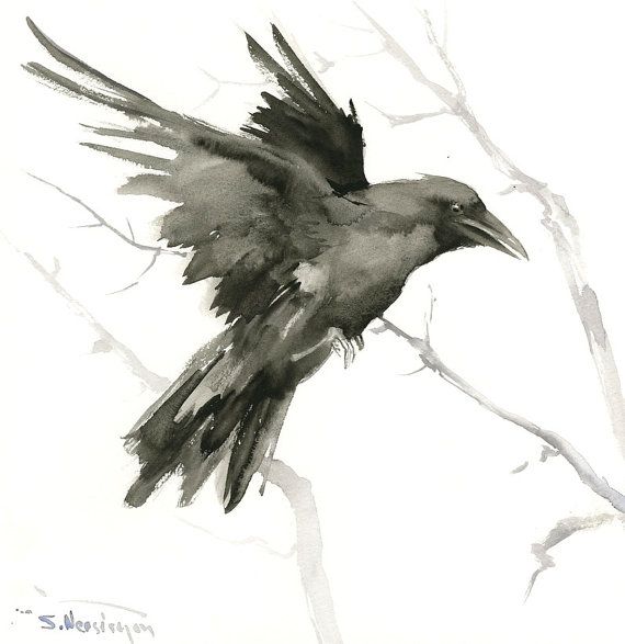 570x587 Flying Crow, Raven, Original Watercolor Painting, 12 X 12 In, Crow - Raven Watercolor