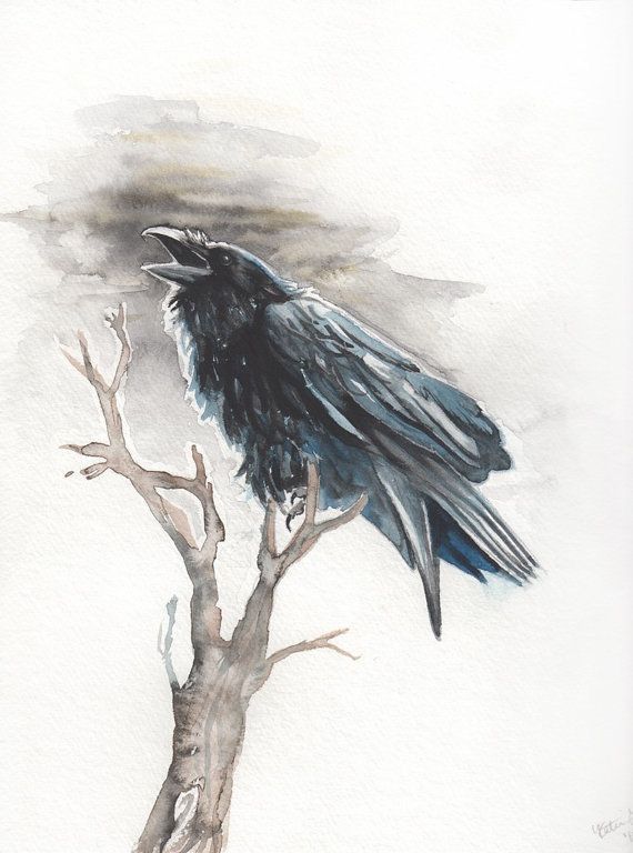 570x768 (Black Raven By Amaranth44) - Raven Watercolor Tattoo