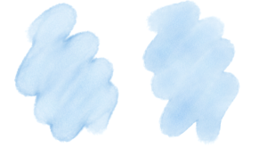 300x166 Corel Painter Help Real Watercolor Controls - Real Watercolor