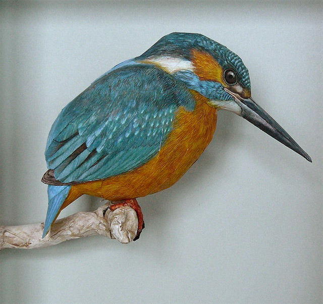 640x602 Realistic Birds Made From Paper And Watercolor Paint By Johan - Realistic Watercolor