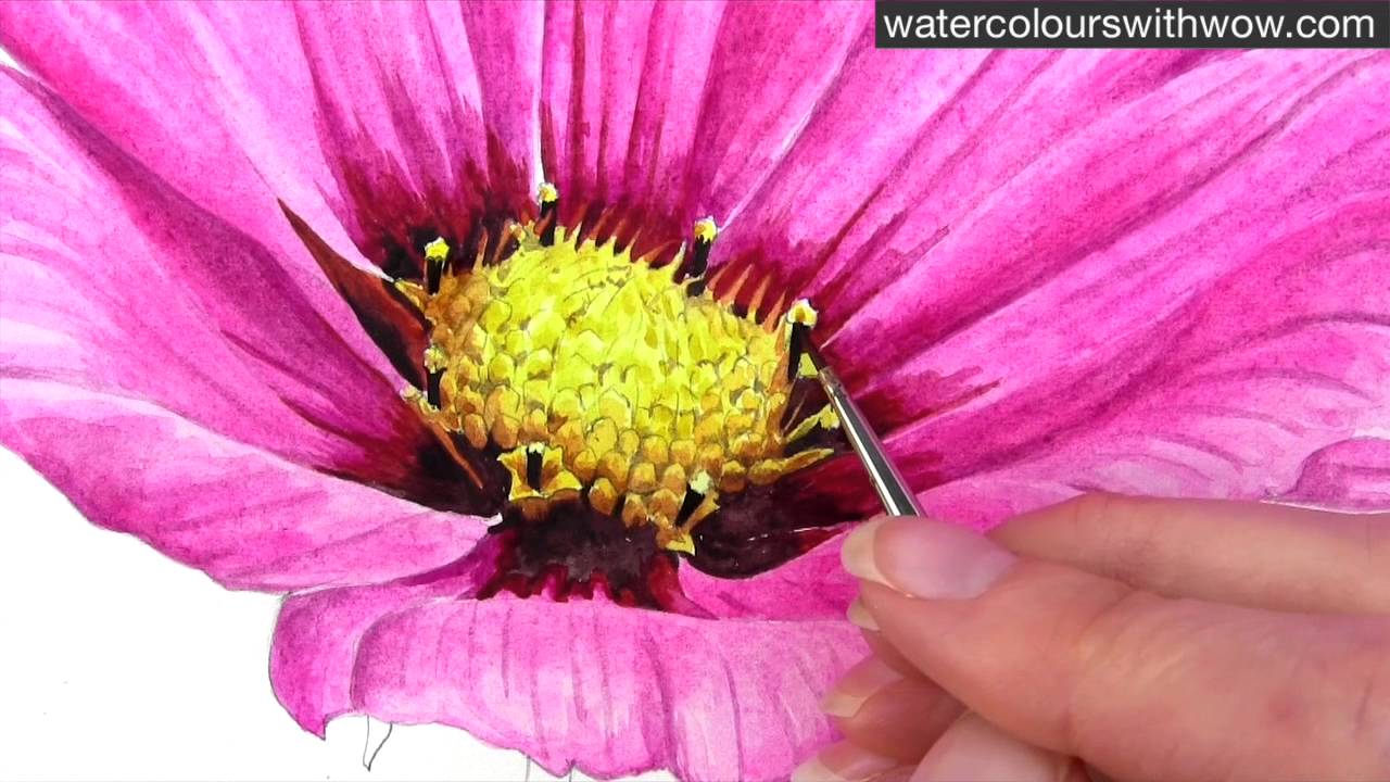 1280x720 How To Paint A Realistic Flower Centre Using Tone - Realistic Watercolor Flowers