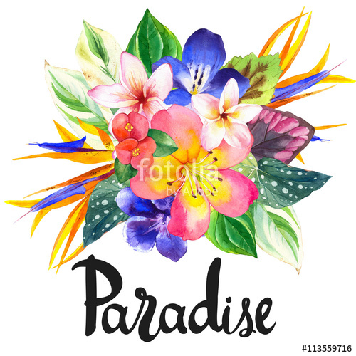 500x500 Illustration With Realistic Watercolor Flowers. Paradise. Stock - Realistic Watercolor Flowers