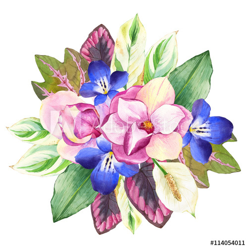 500x500 Illustrations With Realistic Watercolor Flowers. Botanical - Realistic Watercolor Flowers